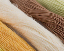Fiber